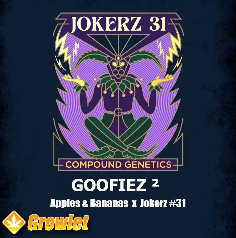 Goofiez² by Compound Genetics feminized seeds