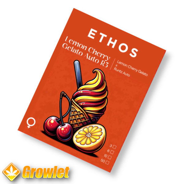 Lemon Cherry Gelato Auto R3 by Ethos Genetics autoflowering seeds