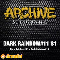 Dark Rainbow#11 S1 de Archive Seed Bank semillas feminizadas
