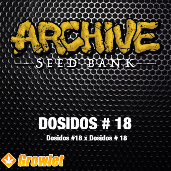 Dosidos #18 from Archive Seed Bank feminized seeds