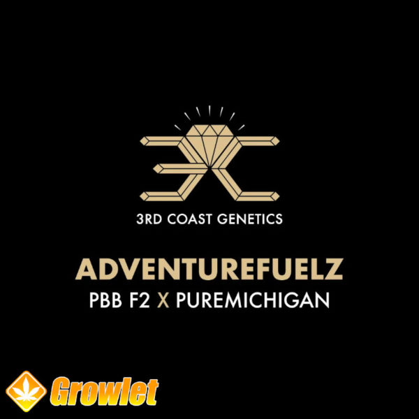 Adventure Fuelz by 3rd Coast Genetics regular seeds