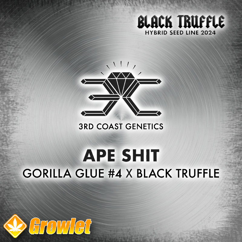 Ape Shit from 3rd Coast Genetics regular seeds