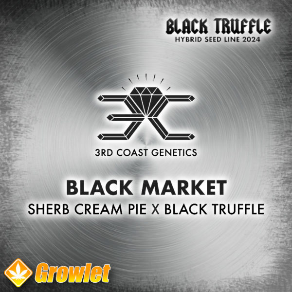 Black Market de 3rd Coast Genetics semillas regulares