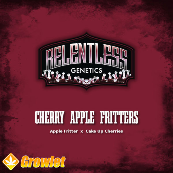 Cherry Apple Fritters by Relentless Genetics regular cannabis seeds