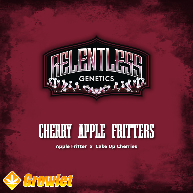 Cherry Apple Fritters de Relentless Genetics semillas regulares de cannabis