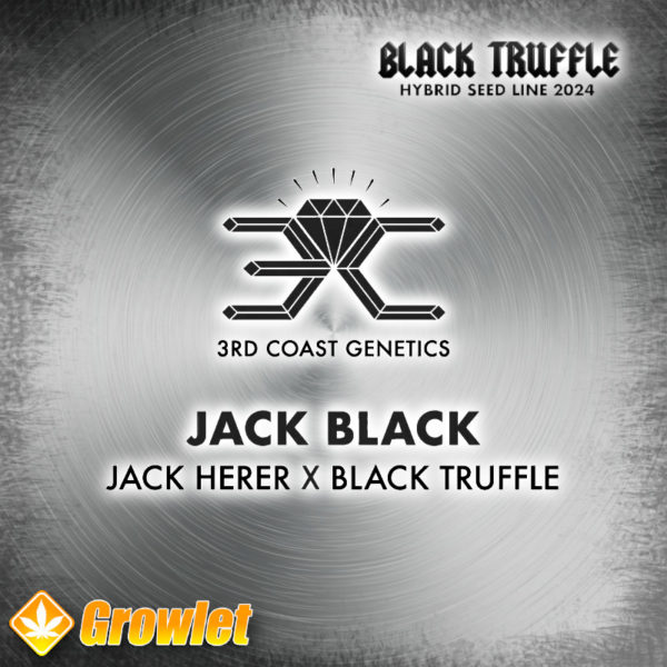 Jack Black de 3rd Coast Genetics semillas regulares