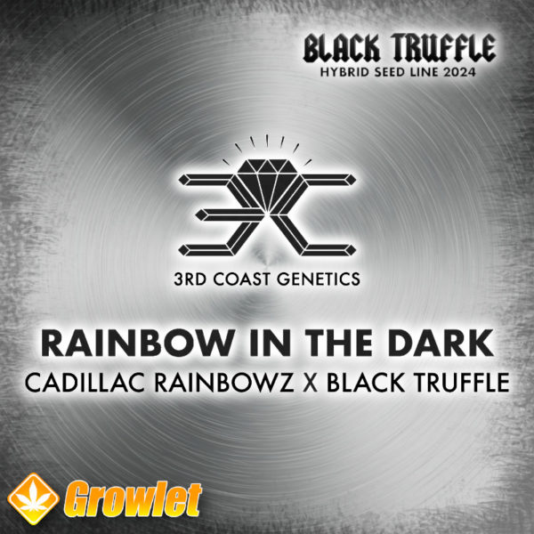 Rainbow In The Dark by 3rd Coast Genetics regular seeds
