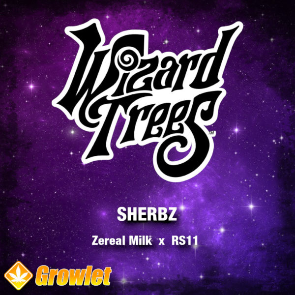 Sherbz by Wizard Trees feminized seeds