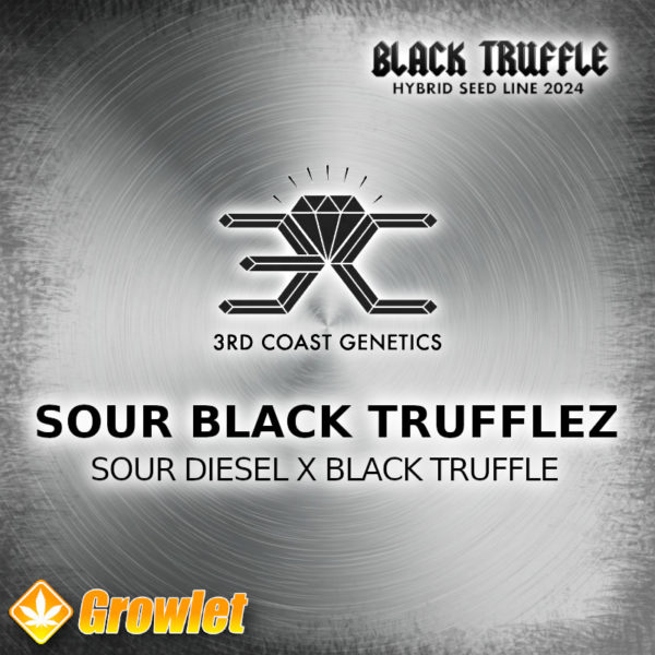 Sour Black Trufflez by 3rd Coast Genetics regular seeds